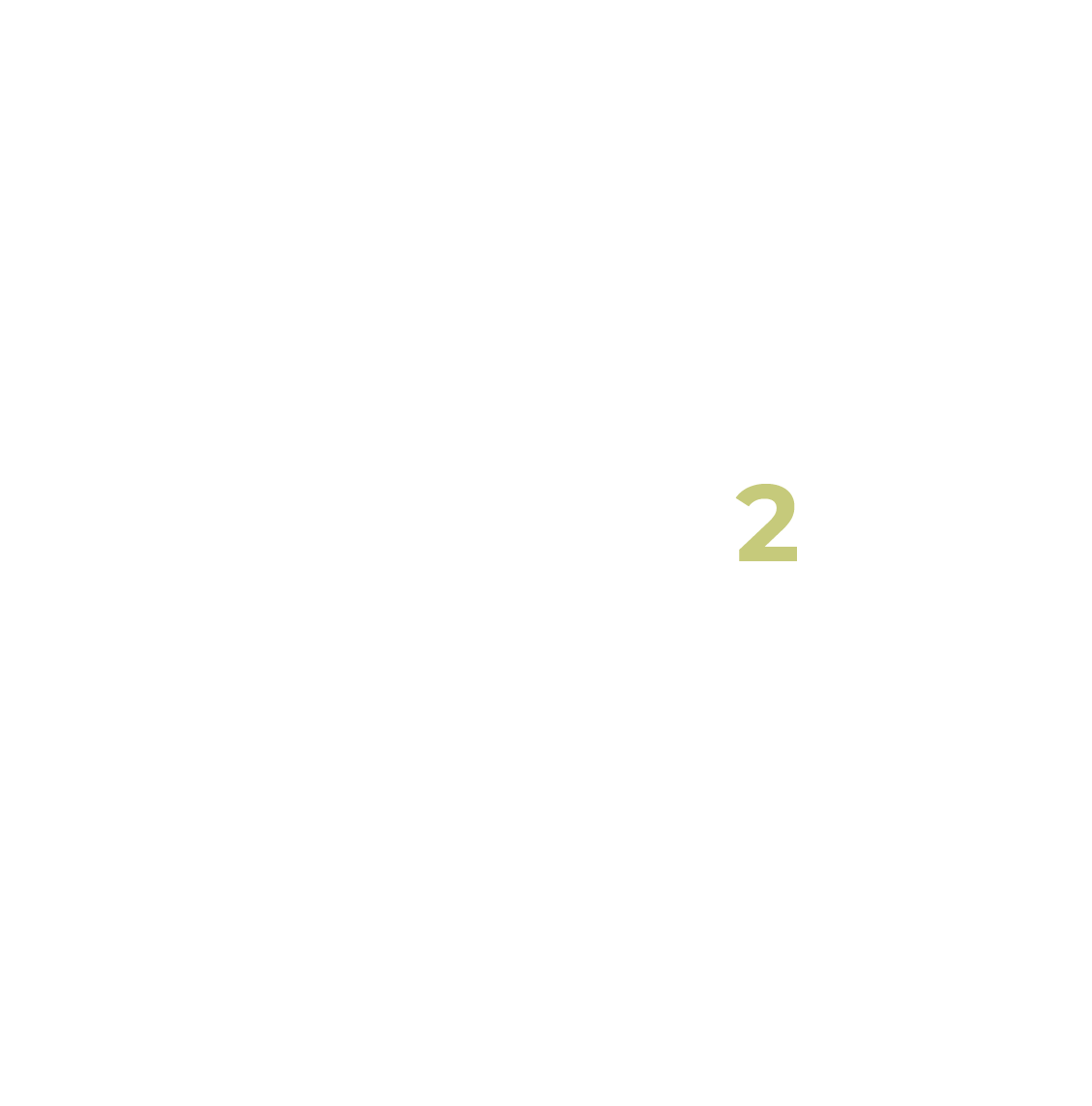 Enneatipo 2